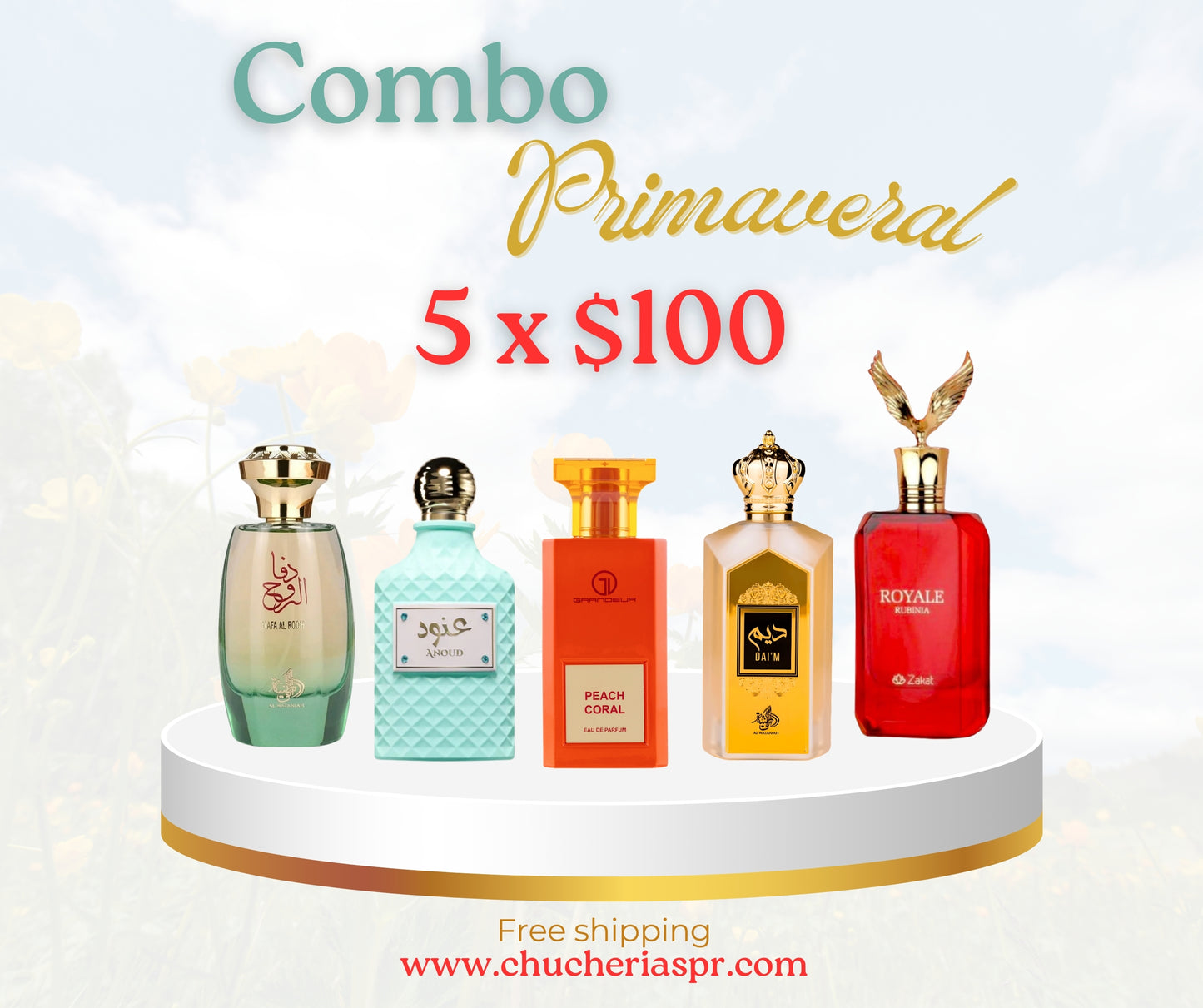 COMBO DAMAS PRIMAVERAL 5 X $100